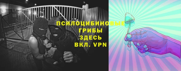 ПСИЛОЦИБИНОВЫЕ ГРИБЫ Зеленокумск