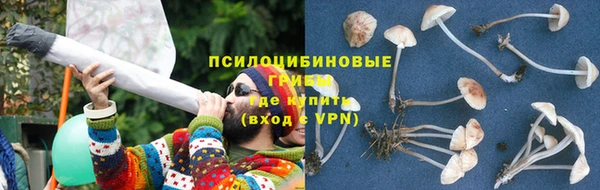 прущие грибы Зеленодольск