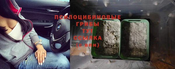 прущие грибы Зеленодольск