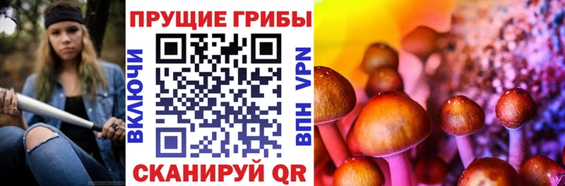 Псилоцибиновые грибы MAGIC MUSHROOMS  Купить закладки  Бугульма 